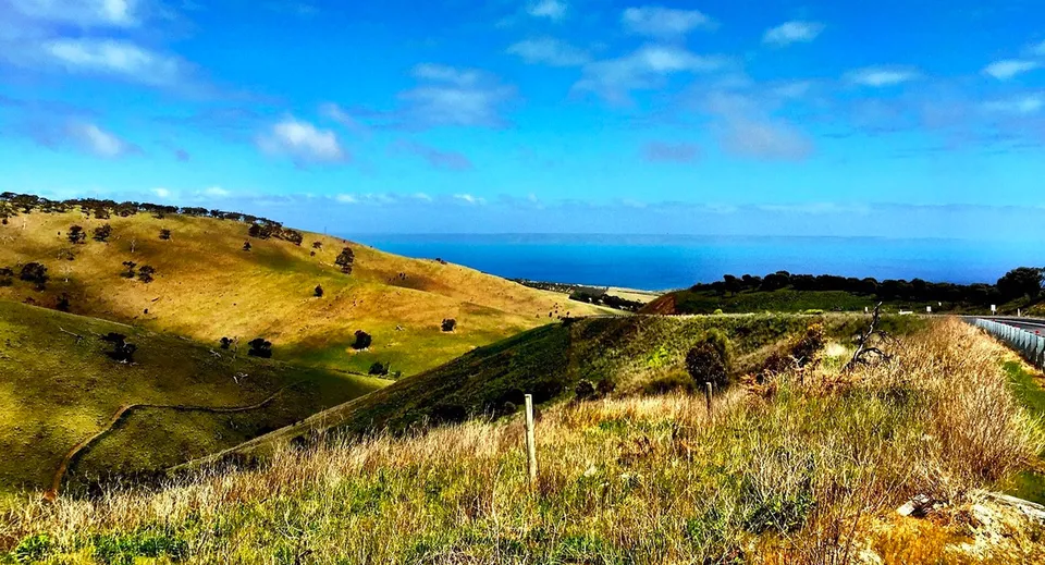 Una verde collina con vista sull'ampio mare blu nell'area del Thebarton Senior College.
