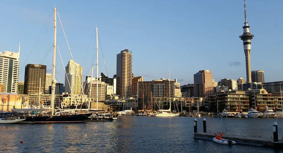 Vista del porto con barche a vela e dello skyline con l'Auckland Sky Tower sullo sfondo, dal Kuranui College.