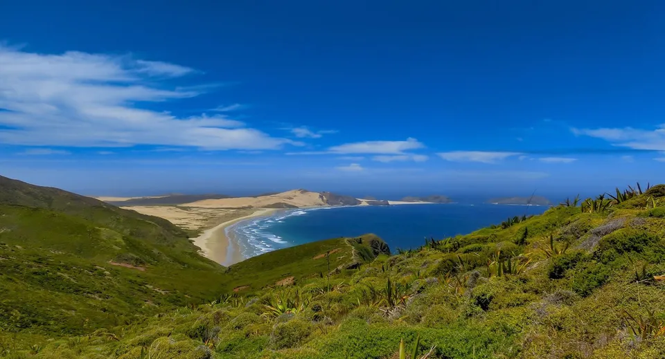 Colline verdi e una spiaggia sabbiosa sulla costa vicino al Whangaparāoa College sotto un cielo azzurro.