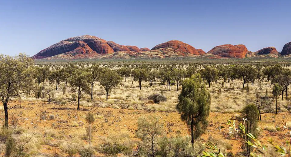 L'immagine mostra un vasto paesaggio desertico con rocce rosse e vegetazione sparsa sullo sfondo della Caloundra State High School.