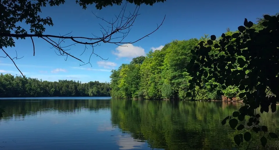 Un lago tranquillo con una verdeggiante vegetazione e un cielo blu vicino alla Alexander Mackenzie High School.
