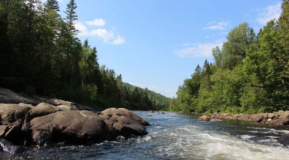 Un limpido fiume di montagna scorre attraverso un paesaggio boschivo con roccia in primo piano nel territorio dell'Institut Collégial Vincent Massey Collegiate.
