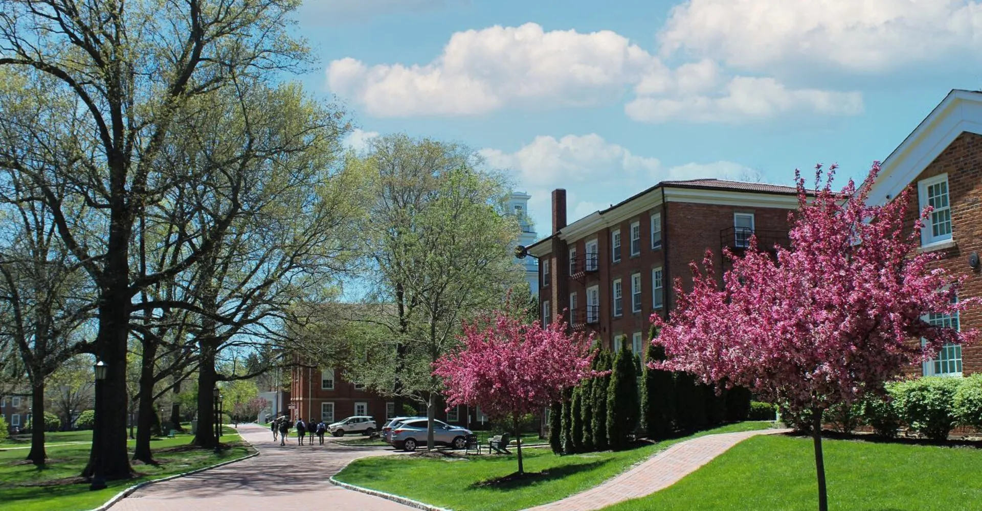 Un viale bordato da alberi in fiore rosa nel campus della Western Reserve Academy, con edifici in mattoni e prato verde.