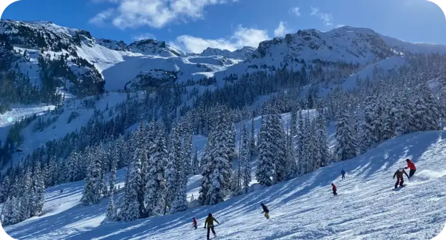 Sciatori su un pendio innevato tra gli abeti con le montagne sullo sfondo