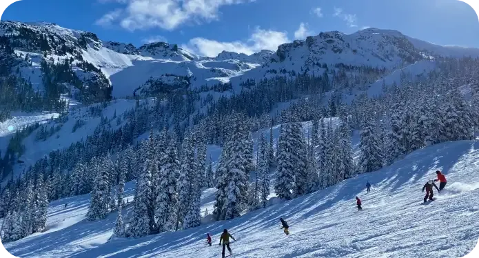 Sciatori su un pendio innevato tra gli abeti con le montagne sullo sfondo