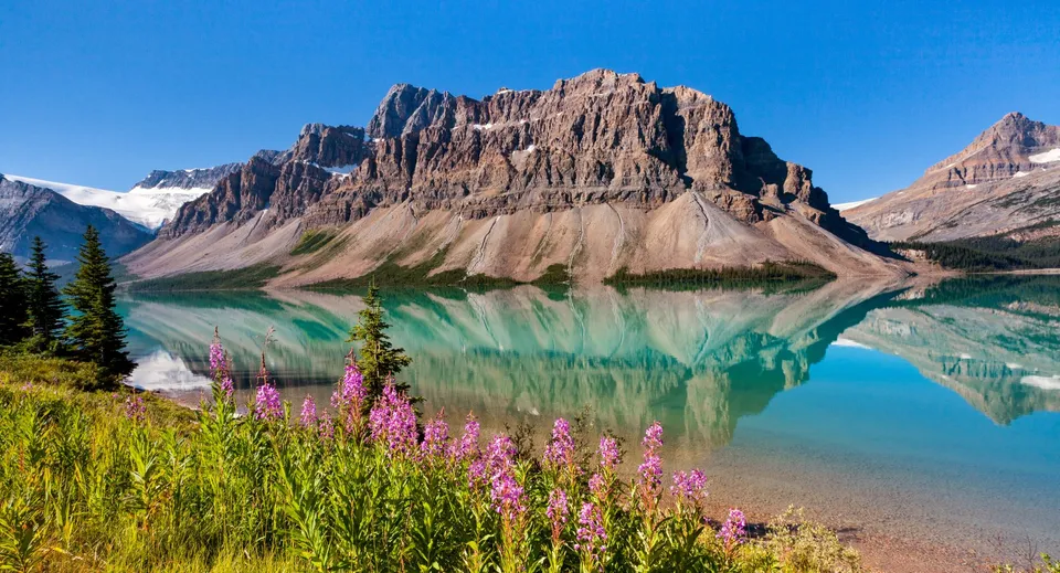Un lago turchese davanti a montagne innevate e fiori selvatici nella natura vicino alla Holy Trinity Catholic High School.