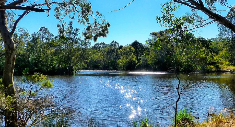 Un lago tranquillo con alberi verdi e cielo blu nei dintorni della Banksia Park International High School.