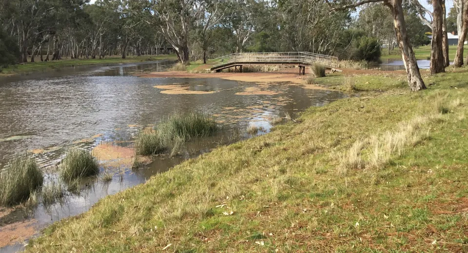 Un torrente tranquillo con un ponte in legno e sponde erbose nel terreno della Cavendish Road State High School.