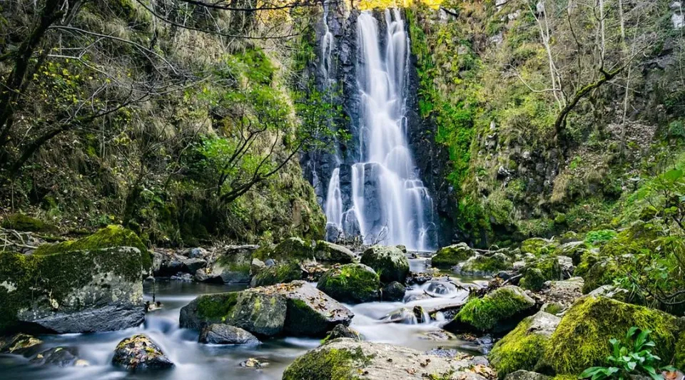 Una alta cascata scorre su rocce in un'area boscosa vicino alla scuola Carrefour de l’Acadie.