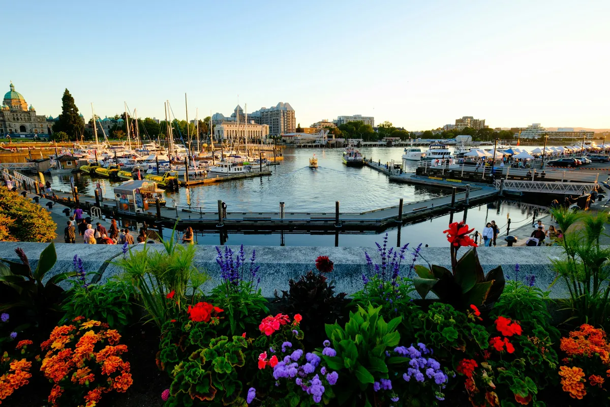 Der Inner Harbour von Victoria mit Segelbooten, Blumenbeeten und dem Parlamentsgebäude im Abendlicht