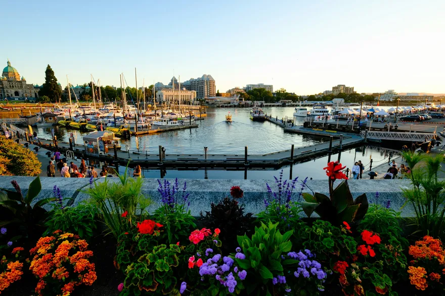 Der Inner Harbour von Victoria mit Segelbooten, Blumenbeeten und dem Parlamentsgebäude im Abendlicht