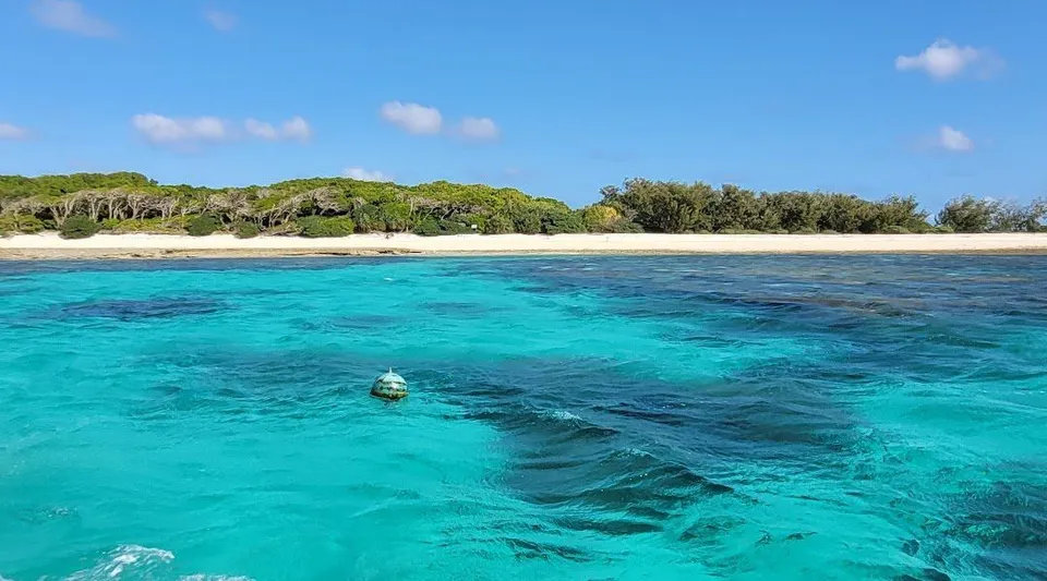 Una tranquilla spiaggia tropicale con una fitta vegetazione verde sulla riva e acqua turchese cristallina, fotografata vicino alla Woolgoolga High School.