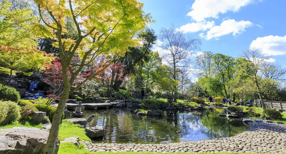 Il tranquillo giardino con laghetto e rigogliosa vegetazione nell'area della Holland Park State High School.