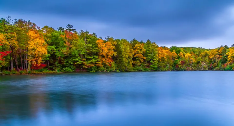 Un lago calmo circondato da alberi dai colori autunnali nei pressi della Thornhill Secondary School.