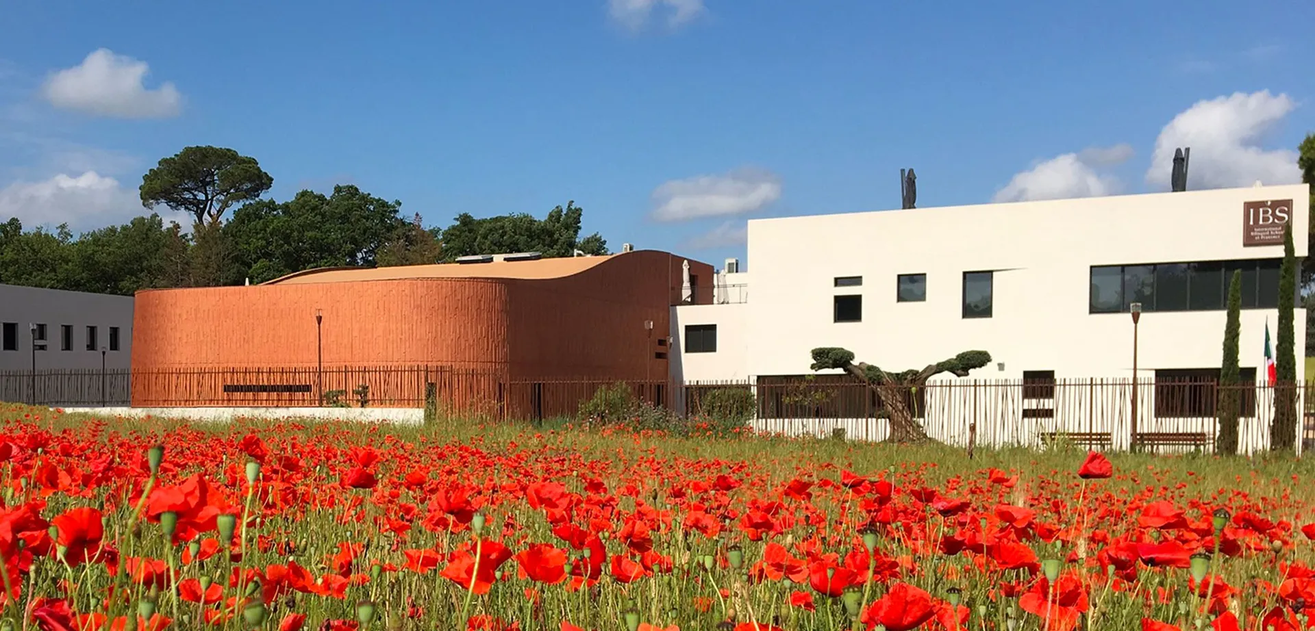 Davanti al moderno edificio della International Bilingual School of Provence si estende un campo di papaveri rossi.