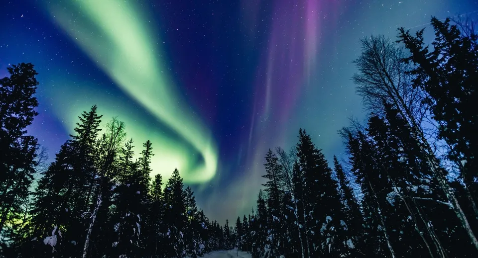 L'aurora boreale risplende su un paesaggio boschivo innevato nel campus della Sugarloaf Senior High.