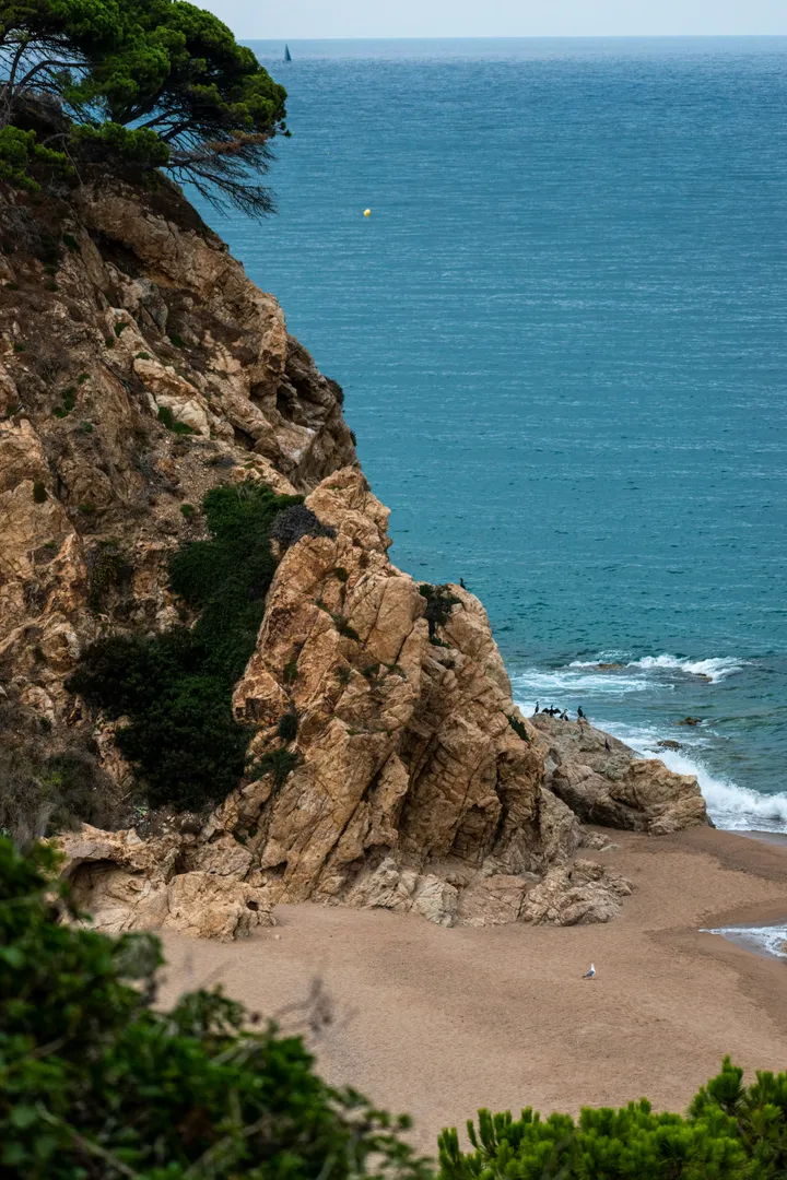 Tarragona: full day