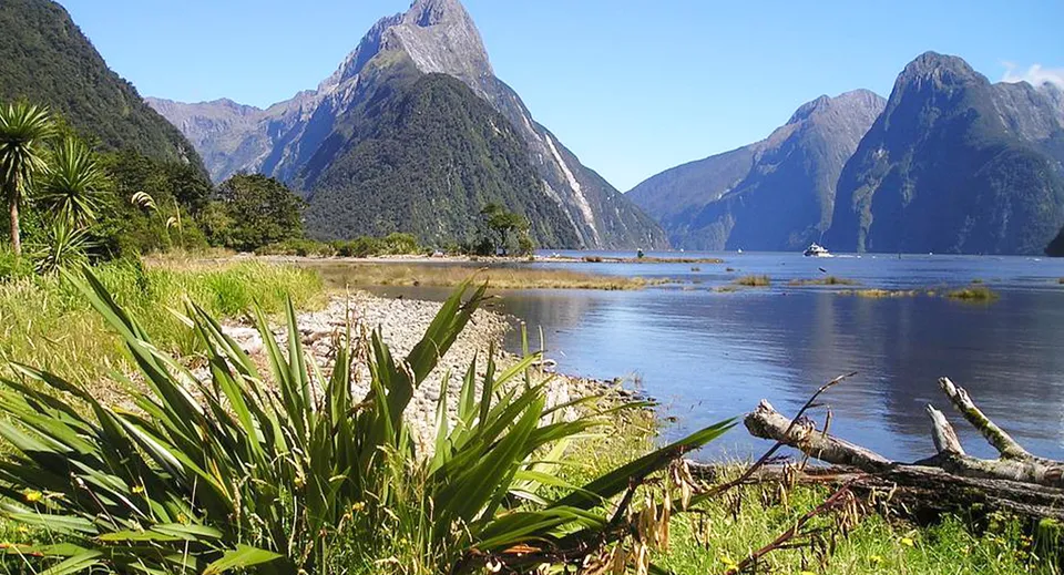 Un paesaggio neozelandese con montagne scoscese, un fiordo e vegetazione verde sulla riva.