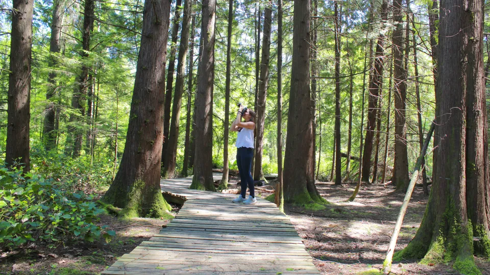 Una persona cammina su una passerella di legno attraverso un bosco verde all'interno dell'area della Delta Secondary School.