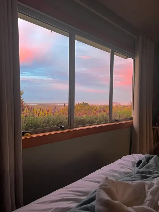 Habitación con una ventana que da a un campo de lupinos bajo un cielo rosado al atardecer
