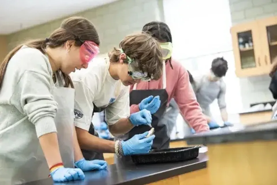 Studenti della The Harvey School lavorano insieme in laboratorio con abbigliamento protettivo su un compito pratico.