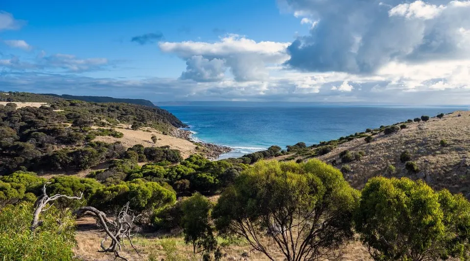 Un paesaggio costiero verde con costa rocciosa e vasto oceano sotto un cielo nuvoloso vicino al Southern River College.