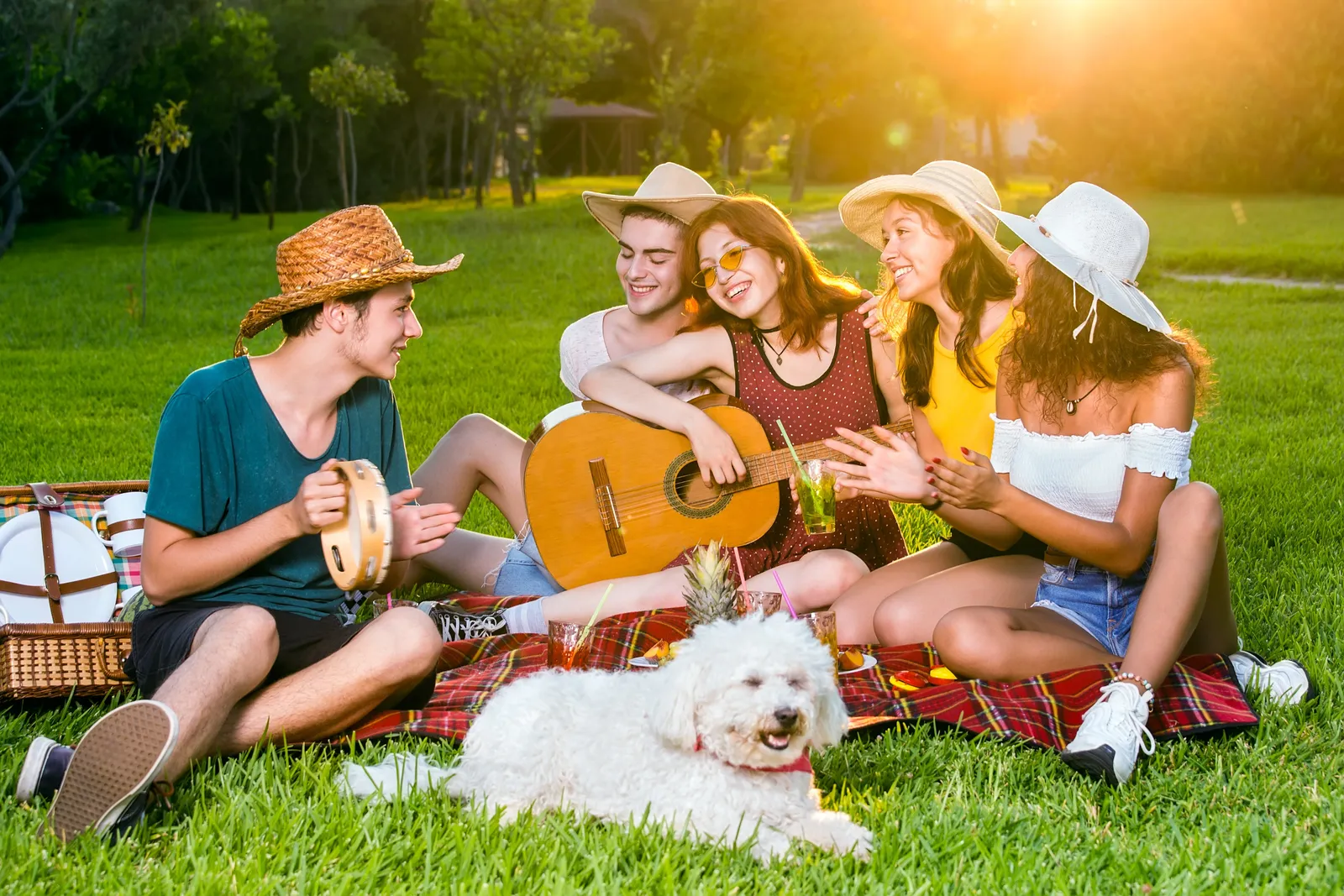 Jugendliche picknicken mit Gitarre, Tamburin und weißem Hund auf einer Wiese im Abendlicht
