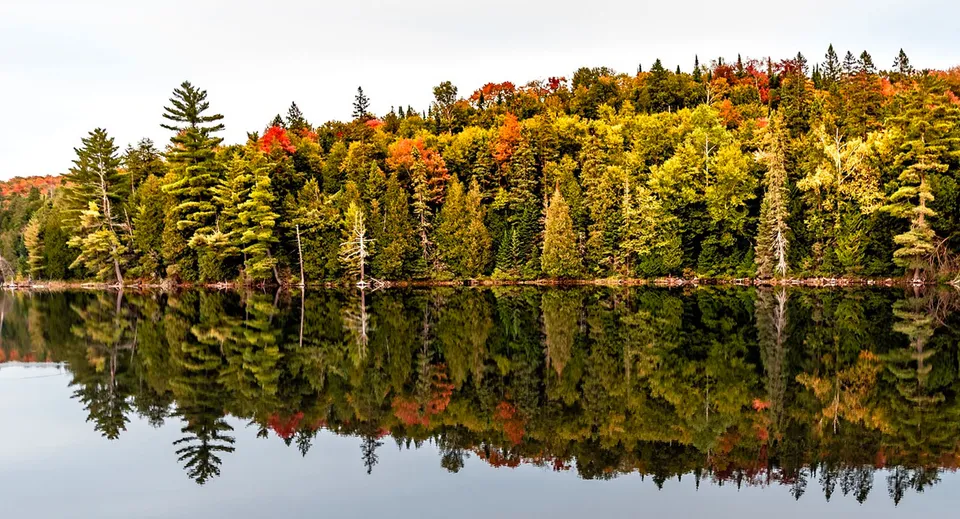 Un lago tranquillo con un bosco dai colori autunnali si riflette nel terreno della Stouffville District Secondary School.