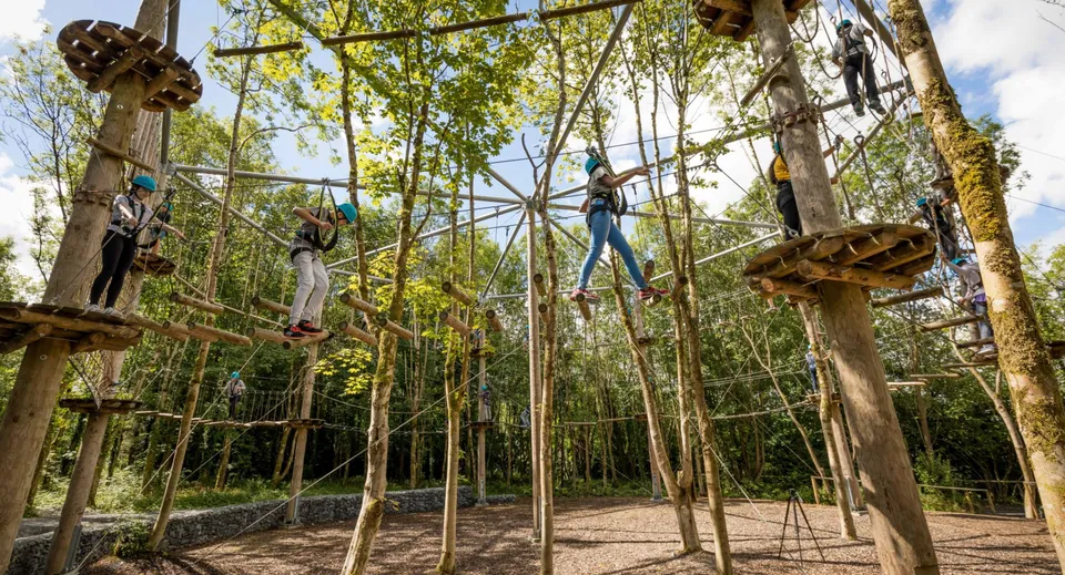 Una studentessa della Christian Brothers School Kilkenny si muove su un percorso acrobatico in altezza circondata da alberi.