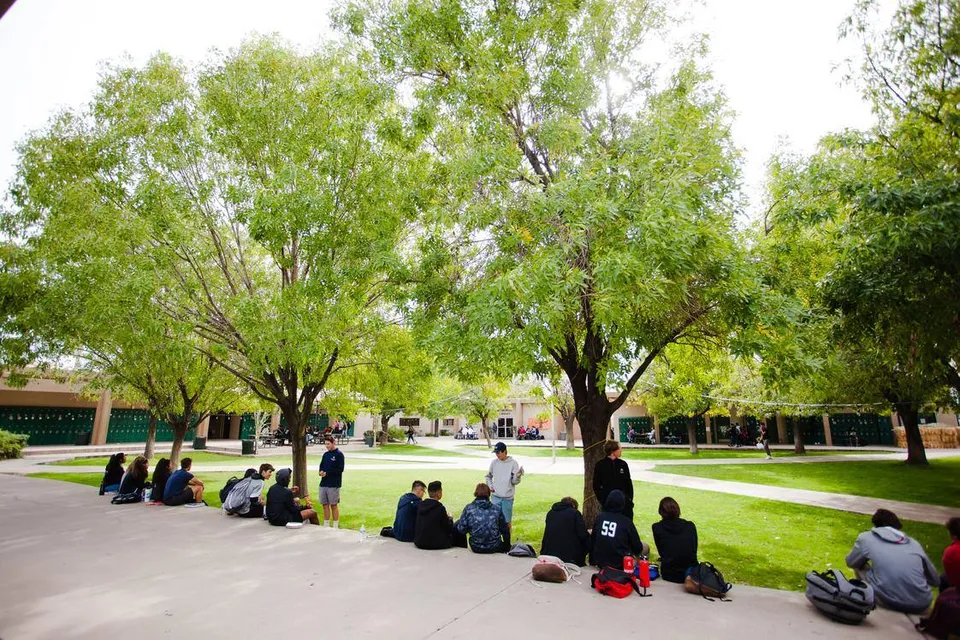 Studenti della Phoenix Christian Preparatory School nel verde del campus accanto a un viale alberato di salici.