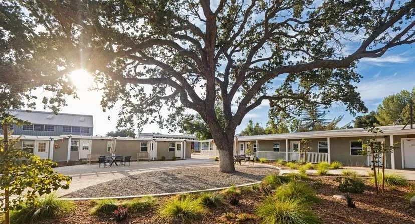 Un grande albero ombreggiato si trova nell'area esterna della Dunn School con un viale pavimentato e diversi edifici sullo sfondo.