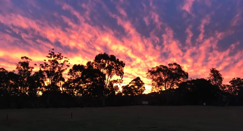 Un tramonto spettacolare con nuvole arancioni e rosa sopra gli alberi nel terreno della Helensvale State High School.