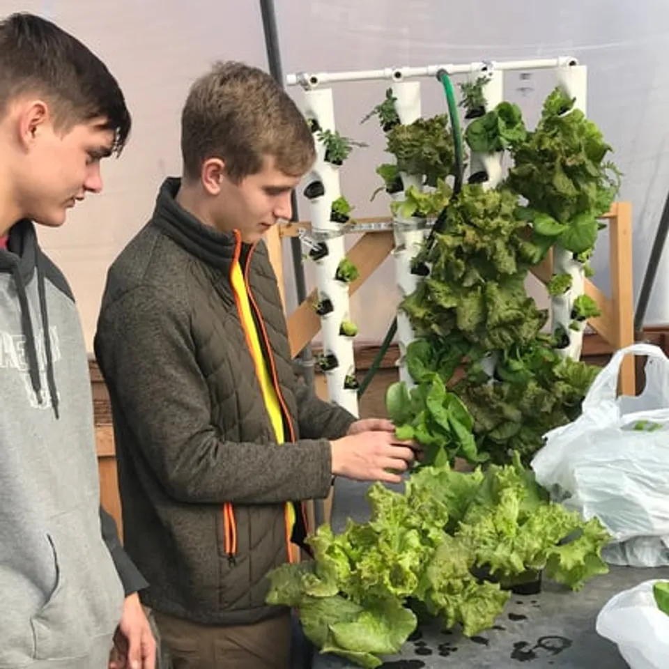 Una persona con un maglione grigio esamina verdure a foglia verde fresca in una stanza della Nebraska Christian Schools.