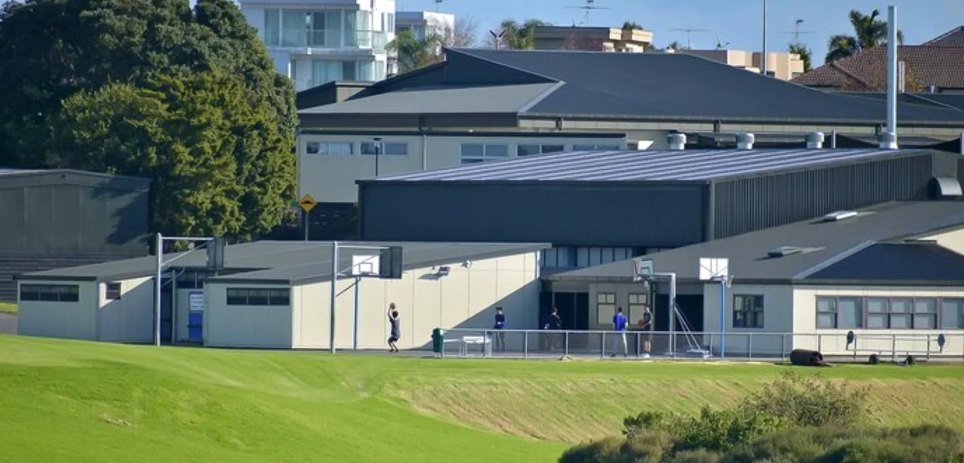 L'edificio moderno a più piani del Macleans College con tetto inclinato e grandi finestre è circondato da aree verdi.