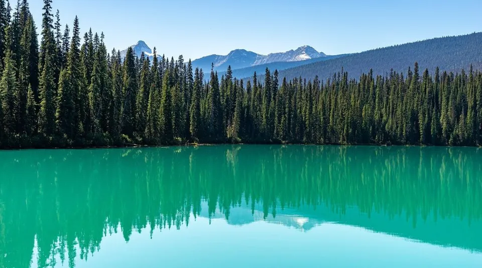 Un lago di montagna turchese con bosco di conifere e cime innevate sullo sfondo sotto un cielo azzurro limpido.