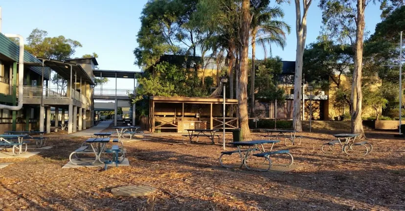 L'area esterna della Warners Bay High School con sedute e alberi al tramonto.