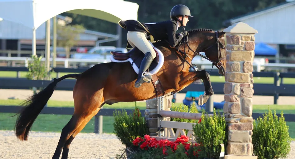 Un cavaliere salta un ostacolo con il suo cavallo nella proprietà della Beechwood Sacred Heart School.