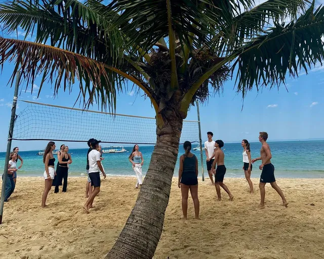 Grupo de jóvenes jugando al voleibol en una playa de arena blanca junto a una palmera