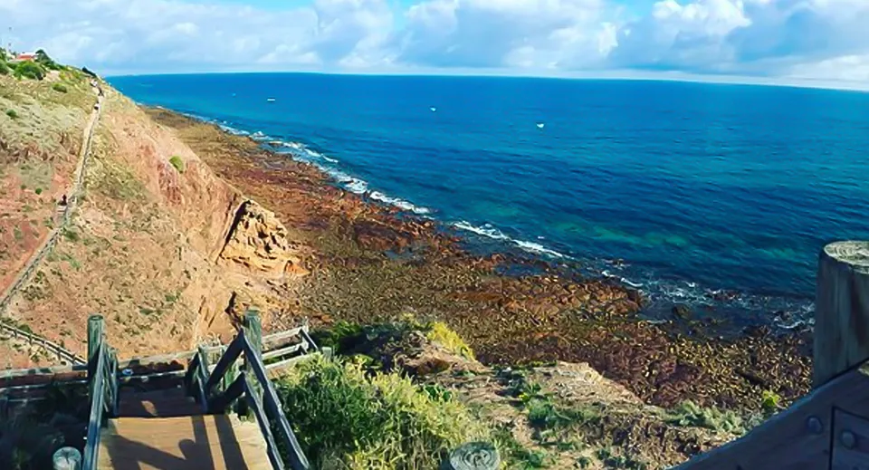 Paesaggio costiero roccioso con una scogliera a picco e un vasto oceano blu sullo sfondo, vicino alla Wirreanda Secondary School.