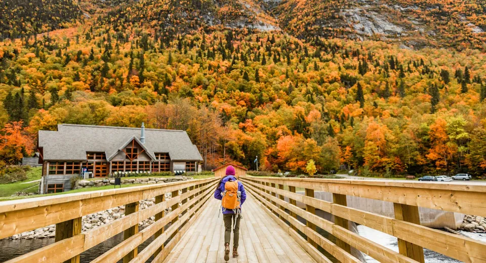Una passerella in legno attraversa una valle con i colori autunnali nel terreno della Crowsnest Consolidated High School.