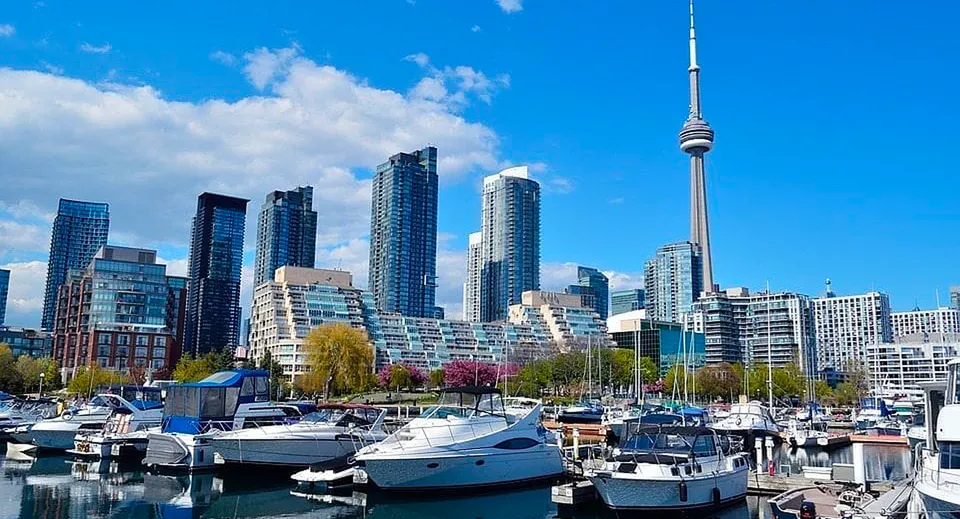 Il porto urbano con moderni grattacieli e un'alta torre delle comunicazioni sullo sfondo nel campus del West Humber Collegiate Institute.
