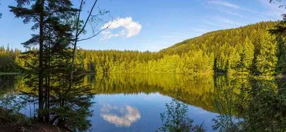 Lago de aguas tranquilas que refleja un frondoso bosque de pinos y el cielo