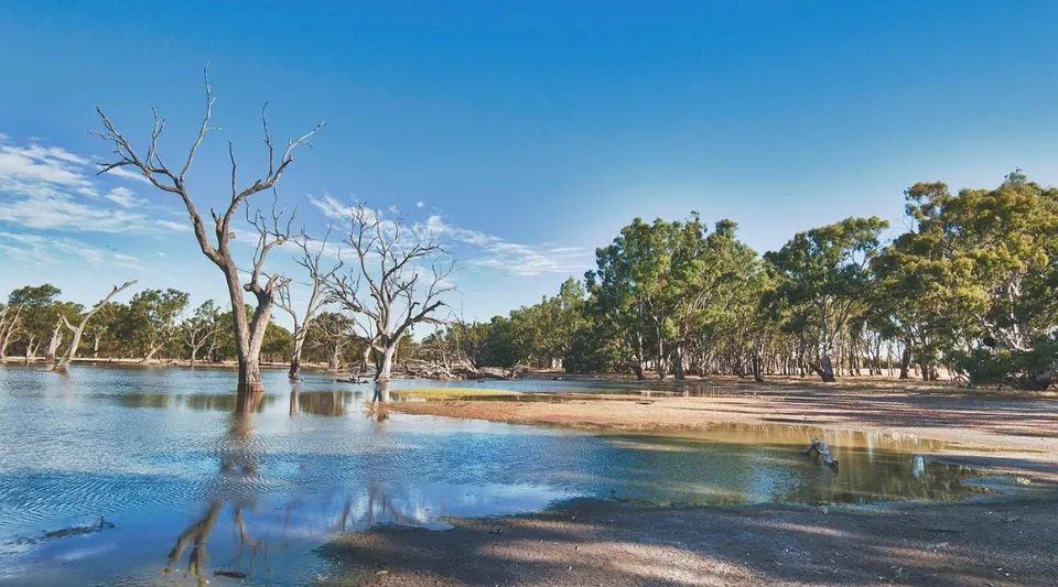 Un lago calmo con alberi spogli nell'acqua e un bosco sullo sfondo vicino alla Balcatta Senior High School.
