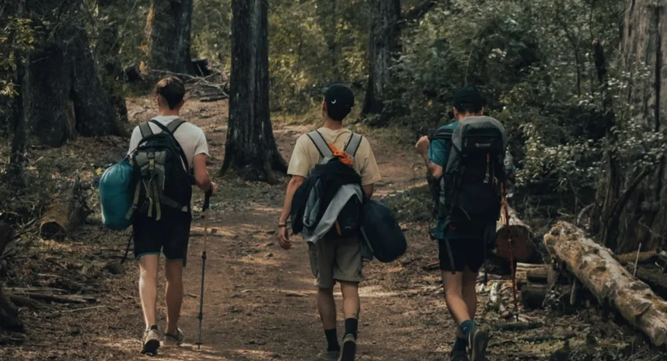 Tre persone camminano su un sentiero nel bosco all'interno del campus dell'Eton College.