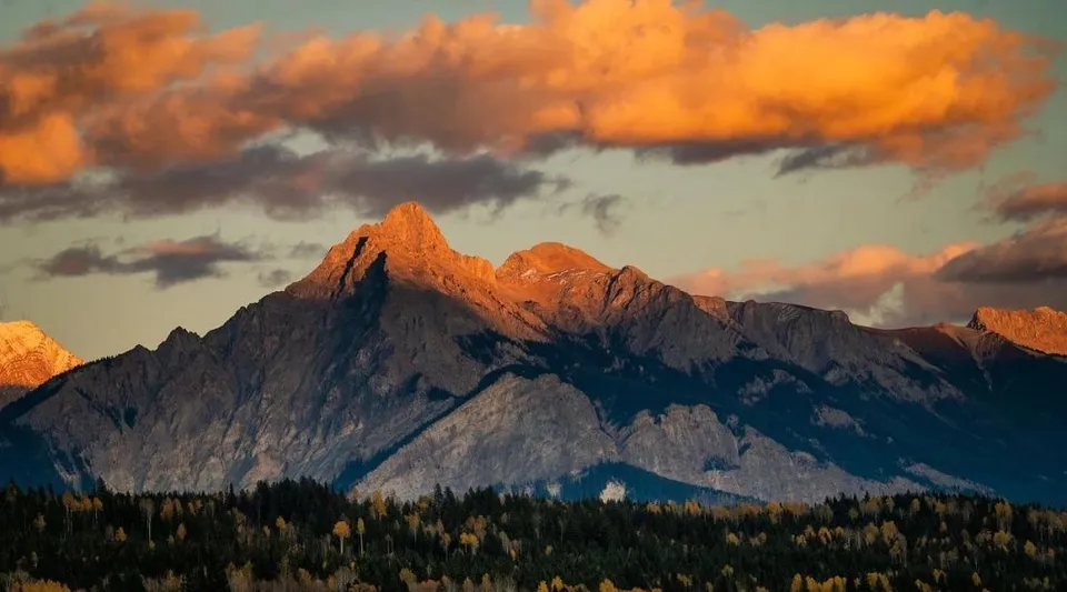 Montagne innevate si ergono dietro un paesaggio boschivo di fronte al campus della Forestburg School.