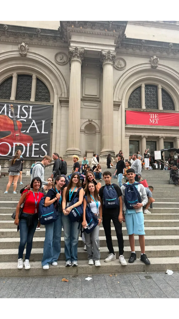 Metropolitan Museum, Roosevelt Island e Central Park: Full day