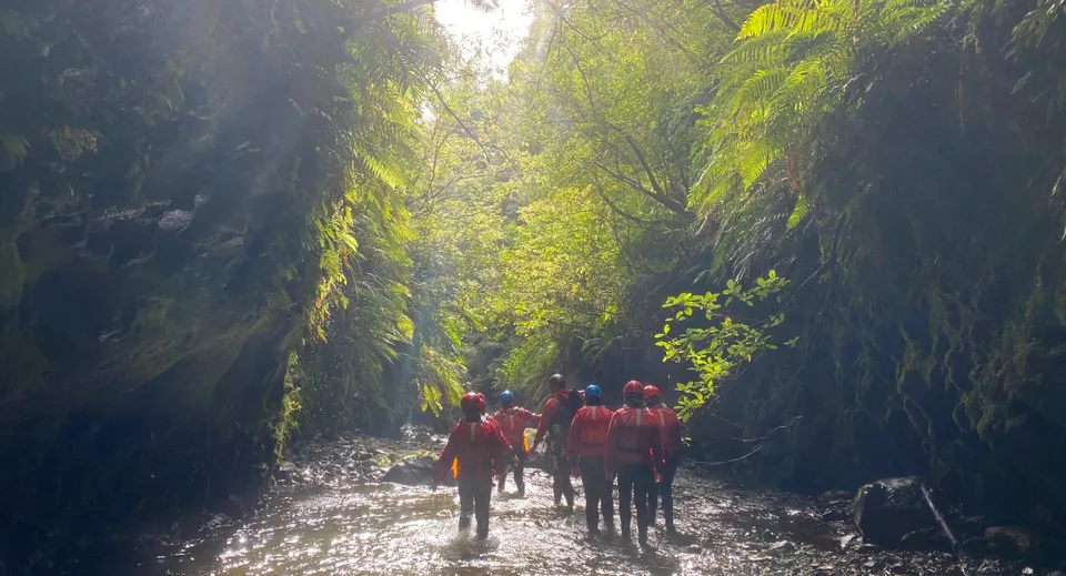 Studenti della Taumarunui High School camminano su un sentiero attraverso un bosco verde e soleggiato.