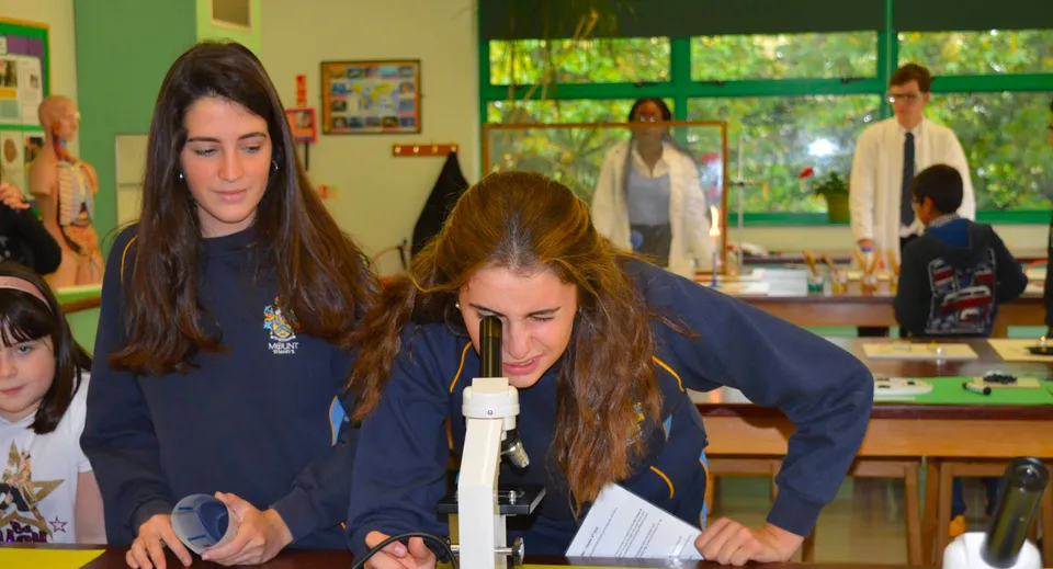 Un gruppo di studenti svolge un esperimento scientifico in un'aula del Mount St. Mary's College.