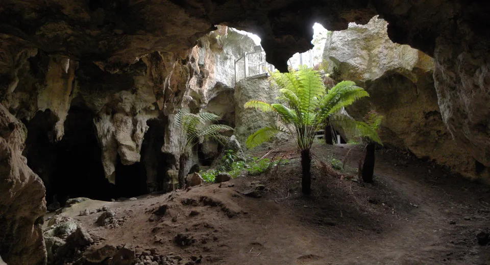 Una grotta buia con alte formazioni rocciose e vegetazione verde nei terreni della Naracoorte High School.
