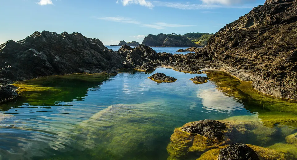 Una piscina naturale con scogliere rocciose e isole, senza alcun collegamento diretto con la Whangarei Girls High School.
